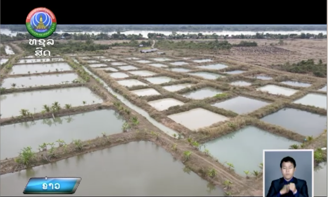 ຕາກ້ອງສ່ອງເມືອງ ຄອບຄົວຕົວແບບການລ້ຽງປາ   [07-01-2025]